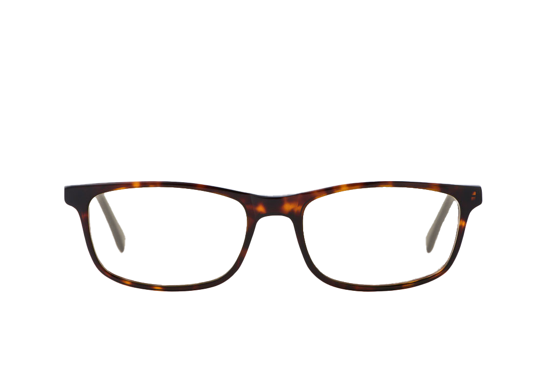 Tortoise Shell Computer Glasses Prescription Front View